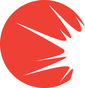 Spark Icon